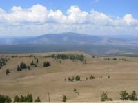 View from Specimen Ridge Trail